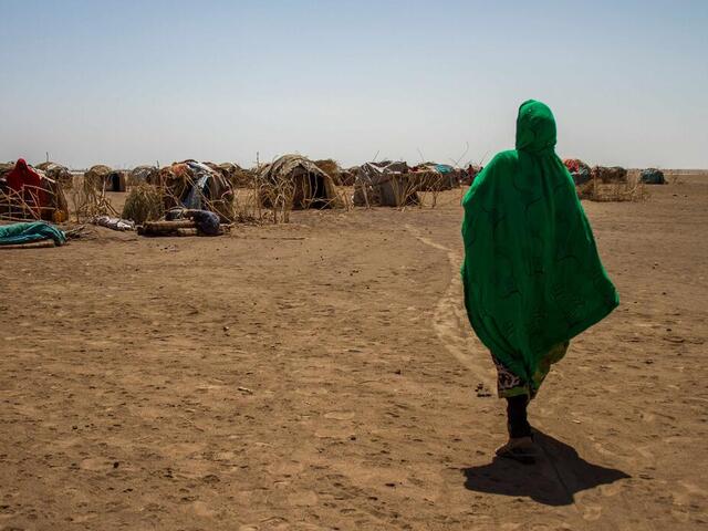 Kvinna vandrar i öknen i Etiopien