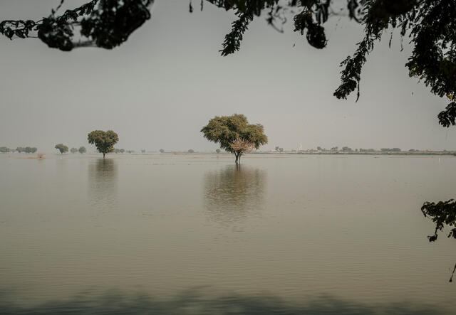 Fyra månader efter översvämningarna stod fortfarande mycket jordbruksmark under vatten i Sindh-provinsen i Pakistan.